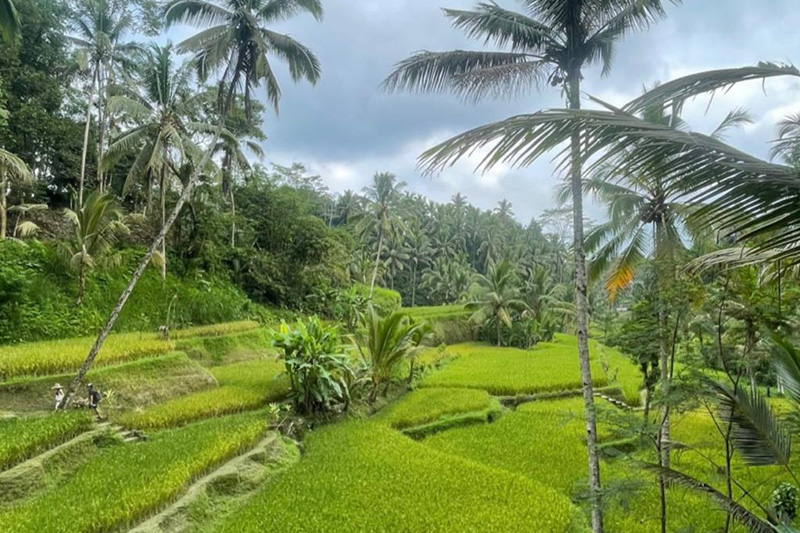 Ubud